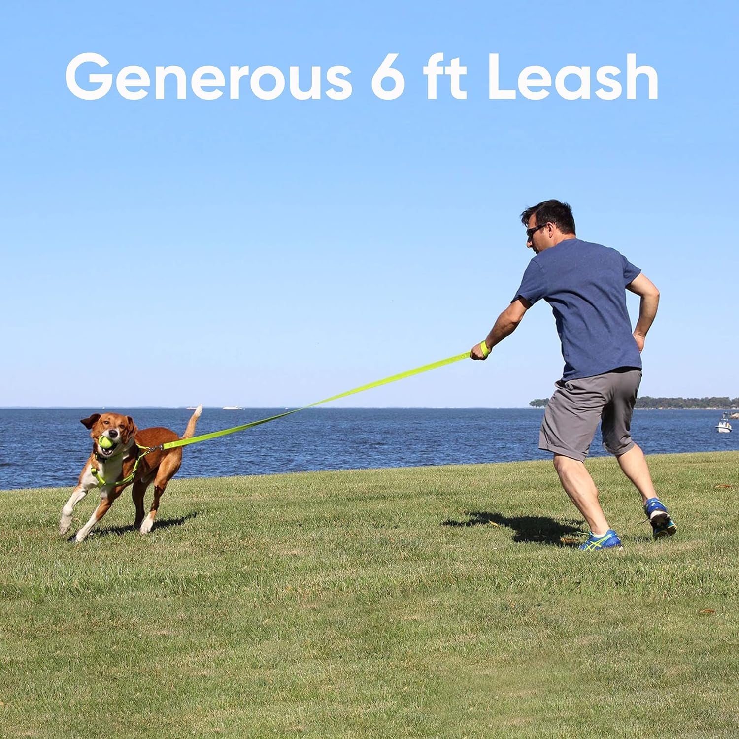 6 FT Pet Puppy Leash Reflective Dog Leash Comfortable Handle Highly Reflective Threads Heavy Duty Dog Training Leash Available as a 6 Ft Medium Dog Leash or 4 Ft Dog Leash