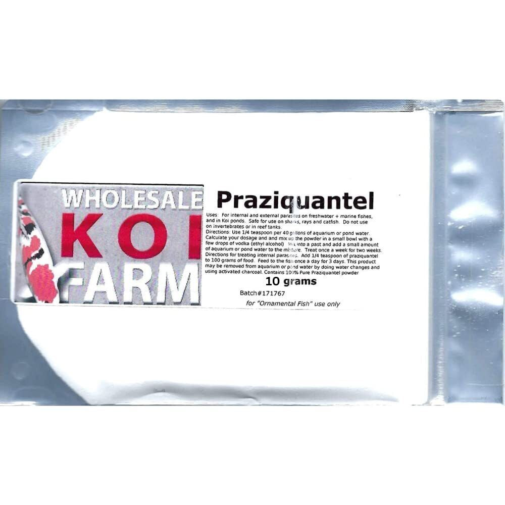 Praziquantel for Ornamental Fish Health - Effective Treatment of Flukes and O...