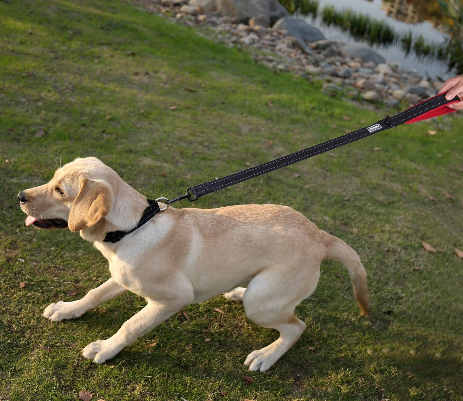 Short Dog Leash, Short Traffic Leash for Dogs, Short Training Leash for Medium & Large Dogs, 30INCH, Black/Red