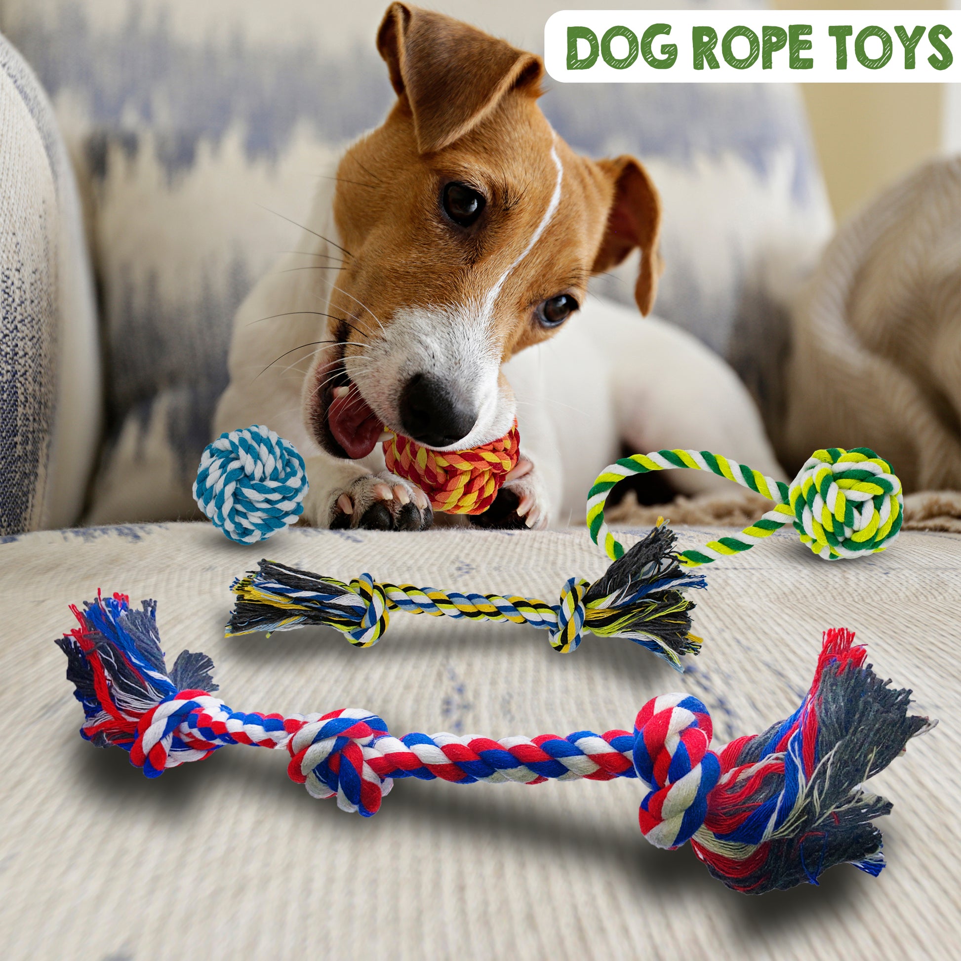 Dog Toys for Puppies -  18 Pcs Pet Interactive Toys with Rope Toys, Squeaky Toys, Plush Toys for Puppy and Small Dogs, Colorful, Durable & Safe Tug of War Toys, Great Toys for Furry Friends