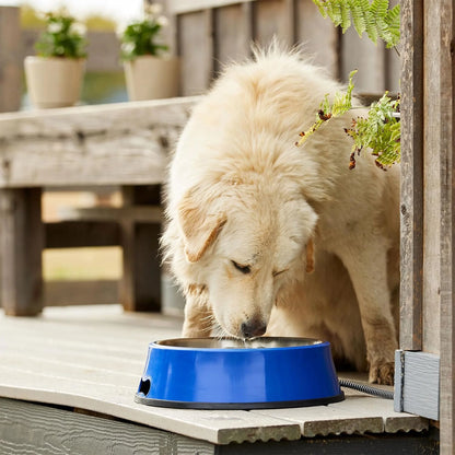 HEATED BOWL SS 5.5QT BL 60W Pet Heated Bowl with Stainless Steel Insert for Pets, Blue