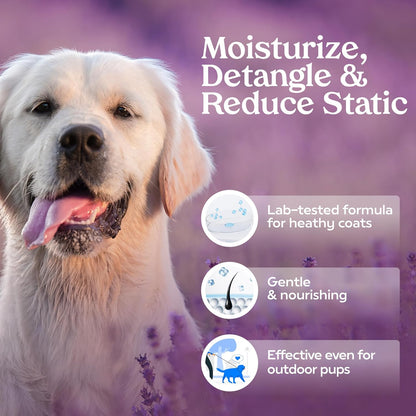 Grooming Spray Dog Spray Deodorizer Perfume for Dogs - Dog Cologne Spray Long Lasting Dog Sprays - Dog Perfume Spray Long Lasting after Bath- Dog Deodorizing Spray (Lavender)